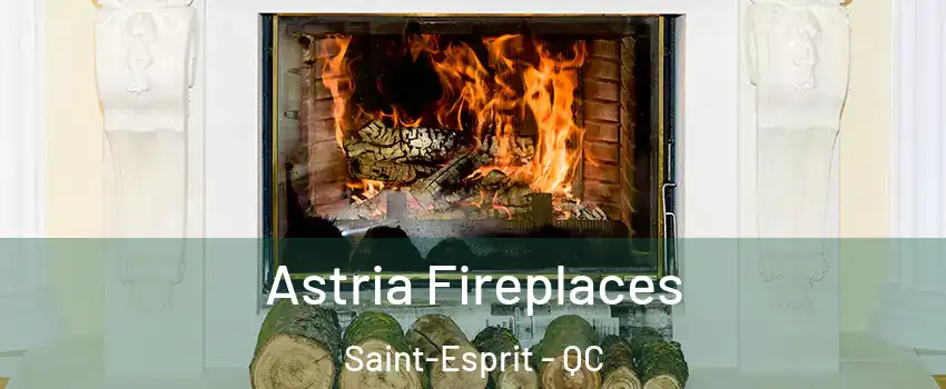  Astria Fireplaces Saint-Esprit - QC