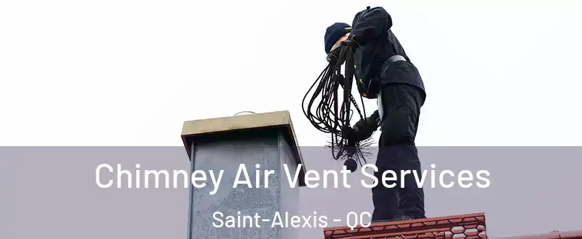  Chimney Air Vent Services Saint-Alexis - QC
