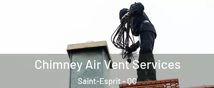  Chimney Air Vent Services Saint-Esprit - QC
