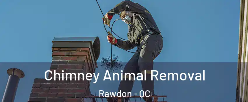  Chimney Animal Removal Rawdon - QC