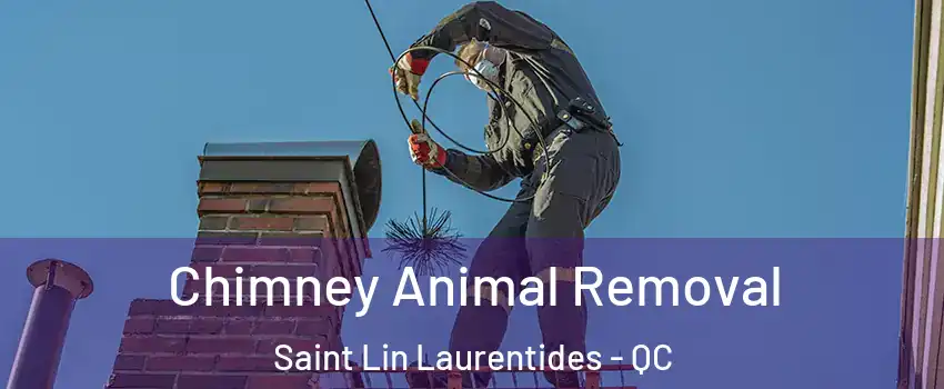  Chimney Animal Removal Saint Lin Laurentides - QC