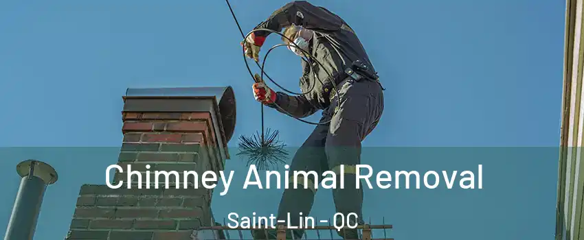  Chimney Animal Removal Saint-Lin - QC
