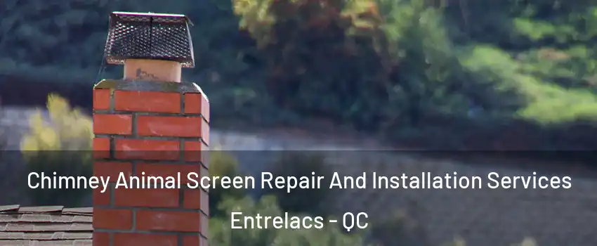  Chimney Animal Screen Repair And Installation Services Entrelacs - QC