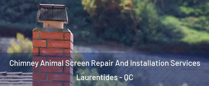  Chimney Animal Screen Repair And Installation Services Laurentides - QC