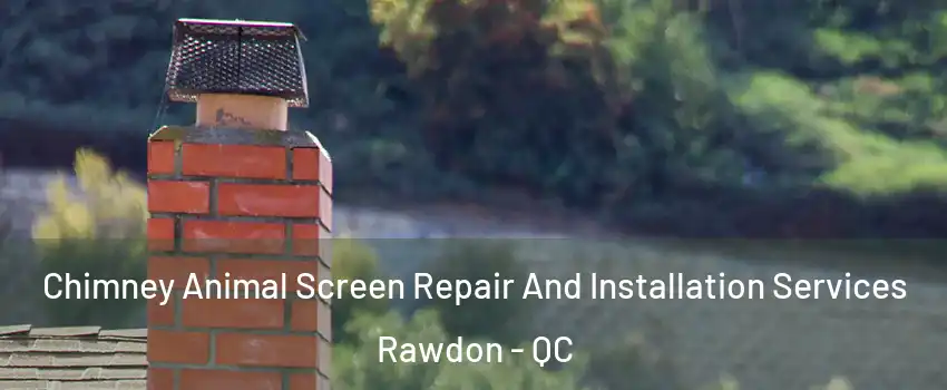  Chimney Animal Screen Repair And Installation Services Rawdon - QC