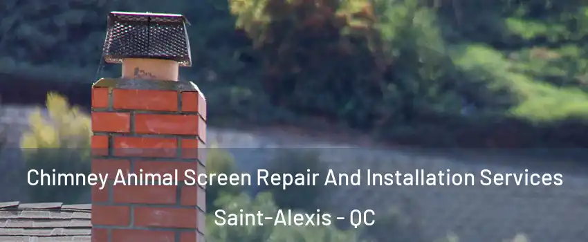  Chimney Animal Screen Repair And Installation Services Saint-Alexis - QC