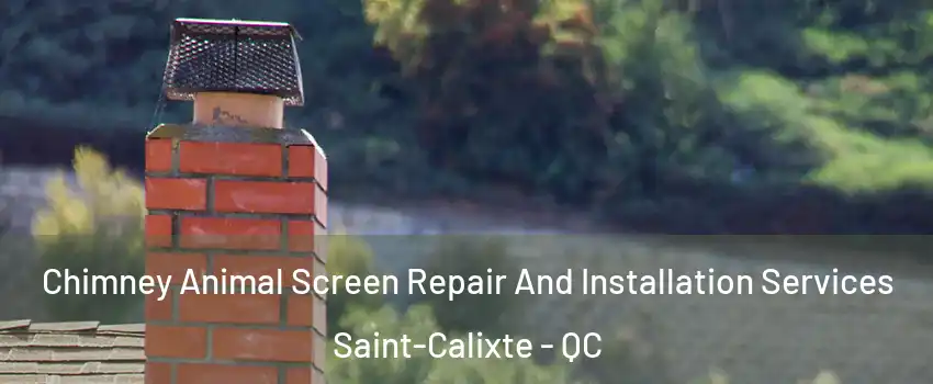  Chimney Animal Screen Repair And Installation Services Saint-Calixte - QC