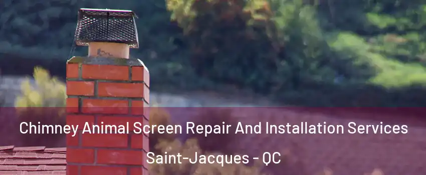  Chimney Animal Screen Repair And Installation Services Saint-Jacques - QC