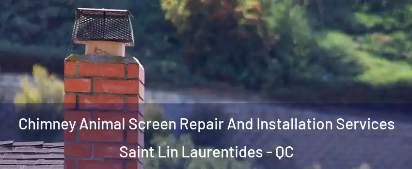  Chimney Animal Screen Repair And Installation Services Saint Lin Laurentides - QC