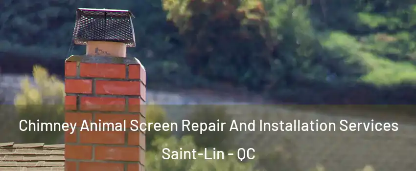  Chimney Animal Screen Repair And Installation Services Saint-Lin - QC