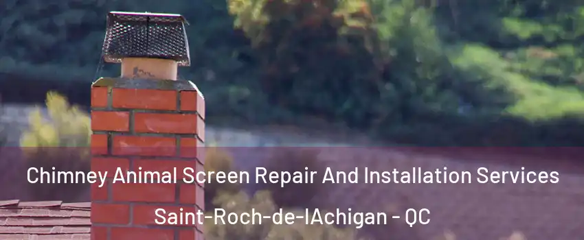  Chimney Animal Screen Repair And Installation Services Saint-Roch-de-lAchigan - QC