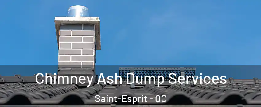 Chimney Ash Dump Services Saint-Esprit - QC