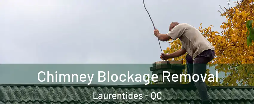  Chimney Blockage Removal Laurentides - QC