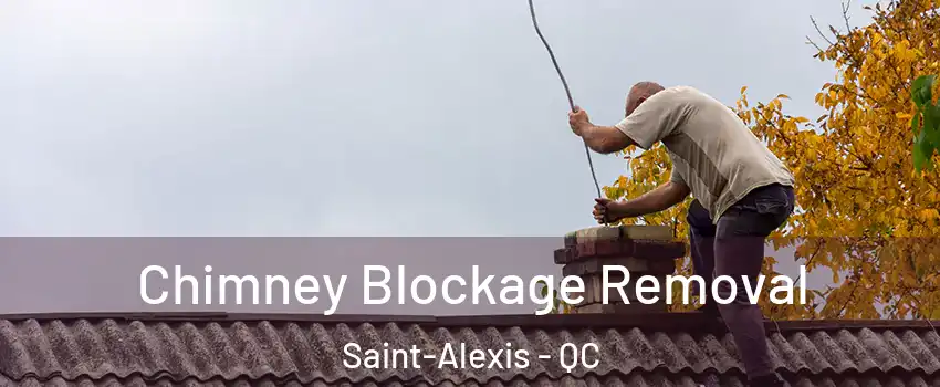 Chimney Blockage Removal Saint-Alexis - QC