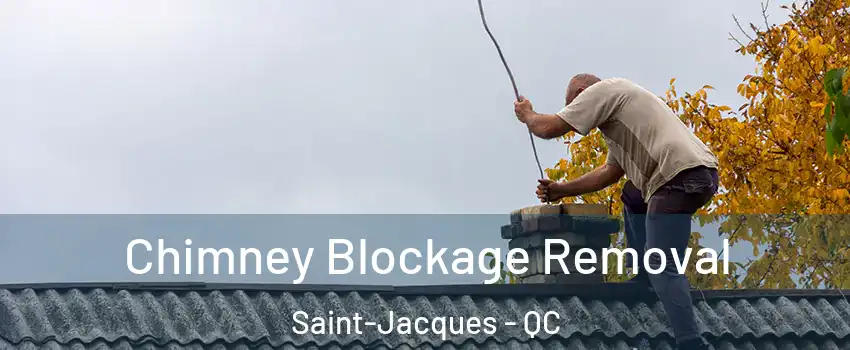  Chimney Blockage Removal Saint-Jacques - QC