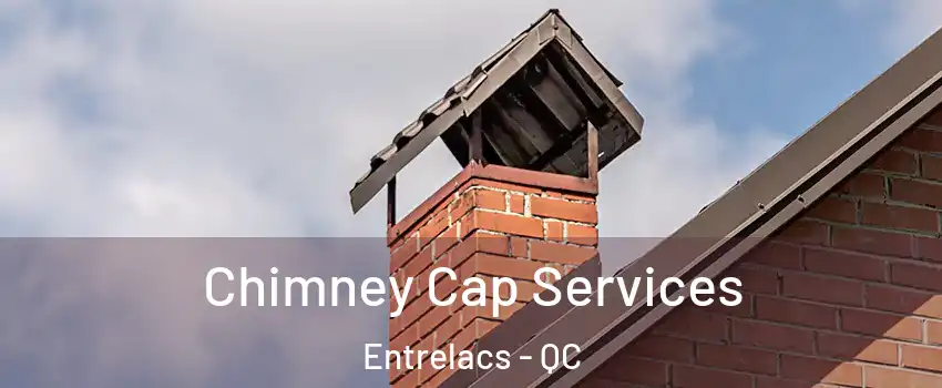  Chimney Cap Services Entrelacs - QC