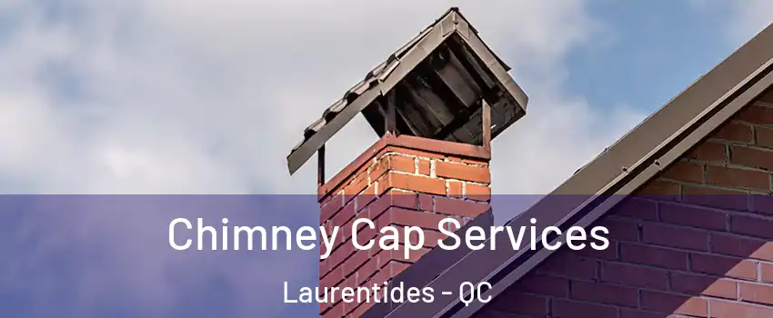  Chimney Cap Services Laurentides - QC