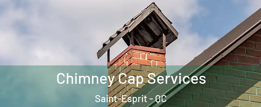  Chimney Cap Services Saint-Esprit - QC