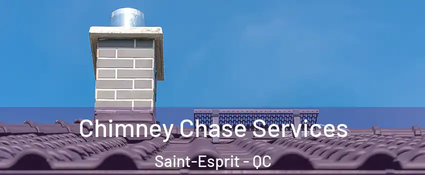  Chimney Chase Services Saint-Esprit - QC