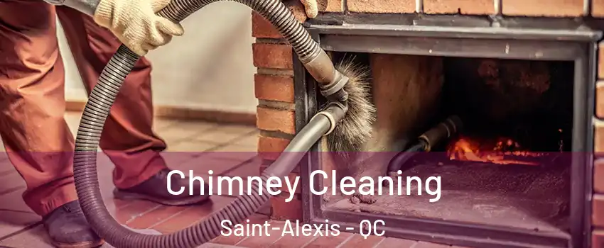  Chimney Cleaning Saint-Alexis - QC