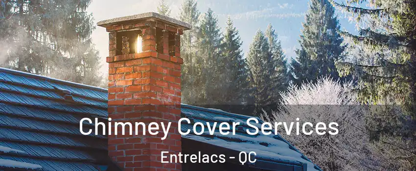  Chimney Cover Services Entrelacs - QC