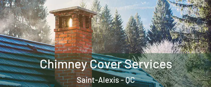  Chimney Cover Services Saint-Alexis - QC