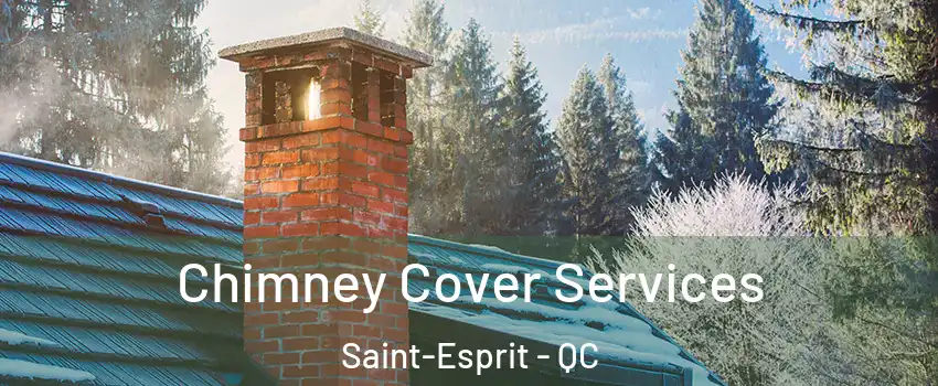  Chimney Cover Services Saint-Esprit - QC