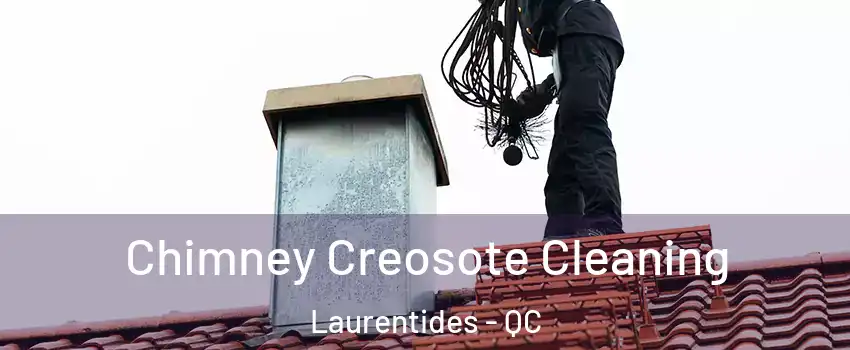  Chimney Creosote Cleaning Laurentides - QC
