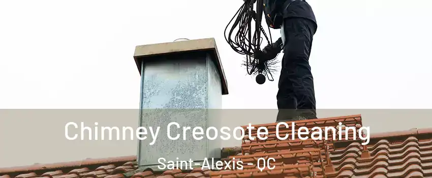  Chimney Creosote Cleaning Saint-Alexis - QC