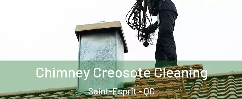  Chimney Creosote Cleaning Saint-Esprit - QC