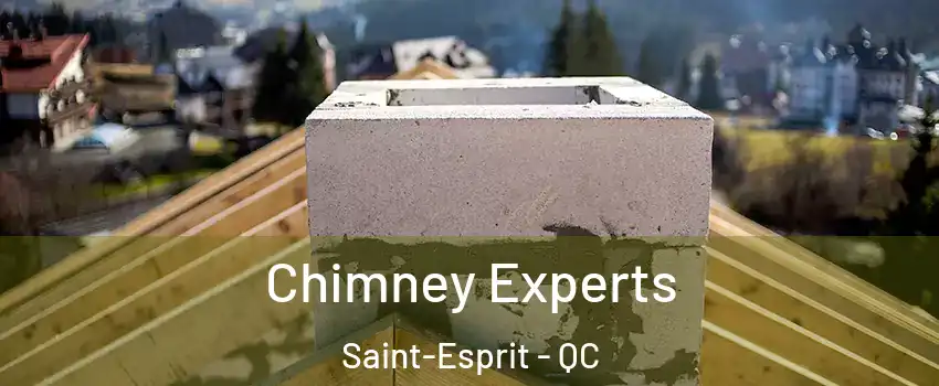  Chimney Experts Saint-Esprit - QC