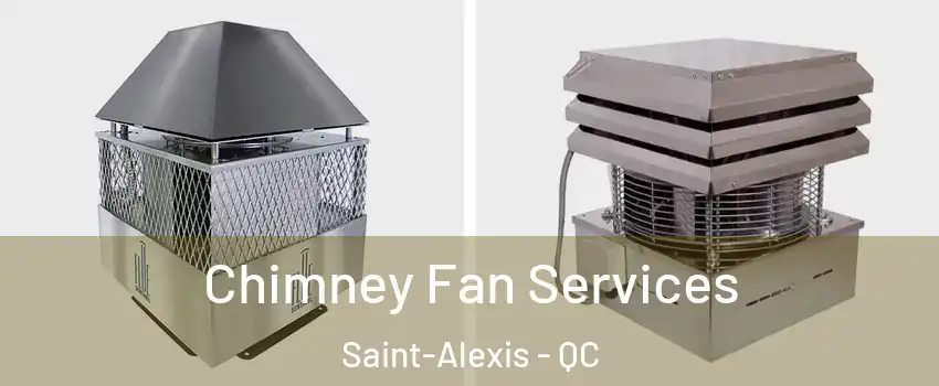  Chimney Fan Services Saint-Alexis - QC
