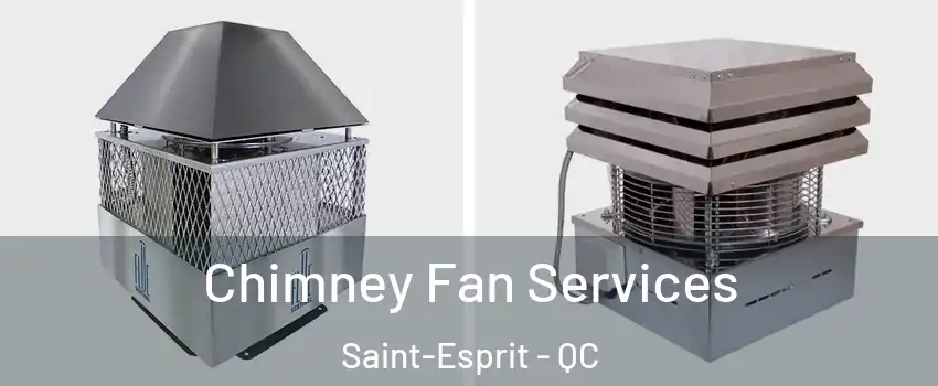  Chimney Fan Services Saint-Esprit - QC