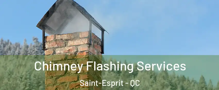  Chimney Flashing Services Saint-Esprit - QC