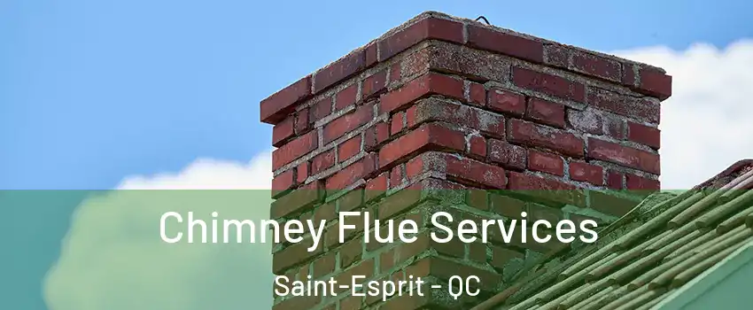  Chimney Flue Services Saint-Esprit - QC