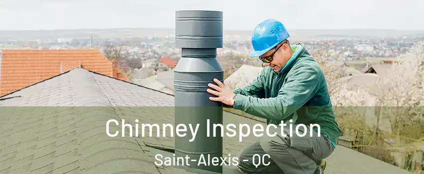 Chimney Inspection Saint-Alexis - QC