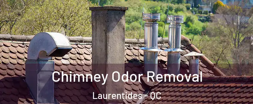  Chimney Odor Removal Laurentides - QC