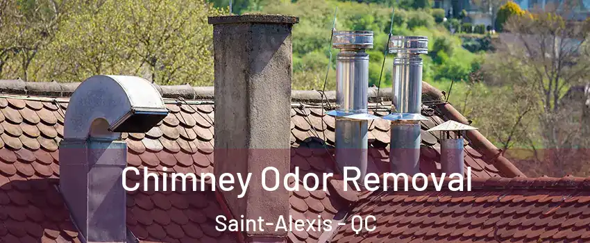  Chimney Odor Removal Saint-Alexis - QC