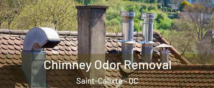  Chimney Odor Removal Saint-Calixte - QC