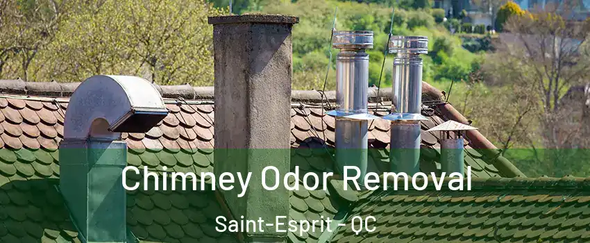  Chimney Odor Removal Saint-Esprit - QC