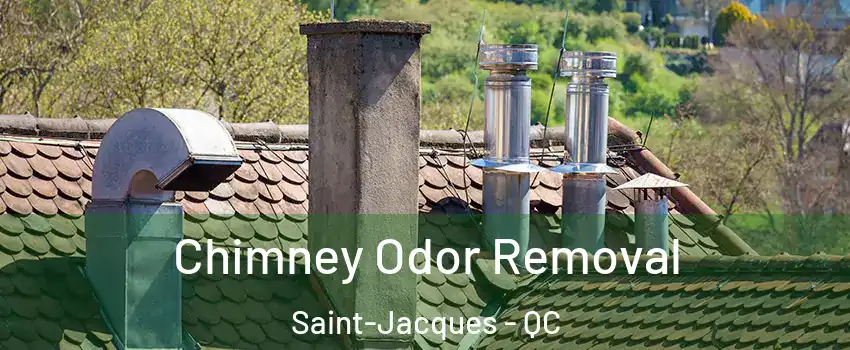  Chimney Odor Removal Saint-Jacques - QC