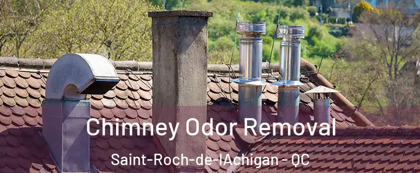  Chimney Odor Removal Saint-Roch-de-lAchigan - QC