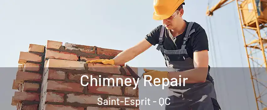  Chimney Repair Saint-Esprit - QC