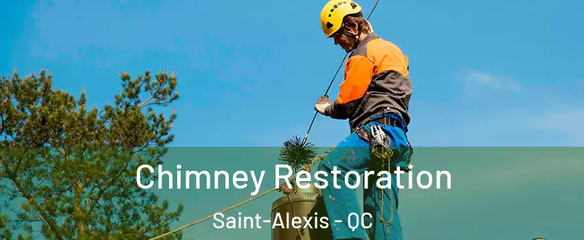  Chimney Restoration Saint-Alexis - QC