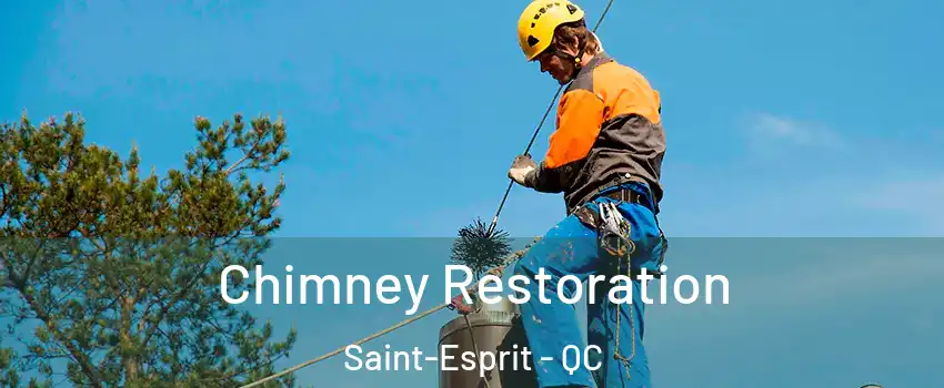  Chimney Restoration Saint-Esprit - QC