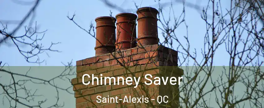  Chimney Saver Saint-Alexis - QC