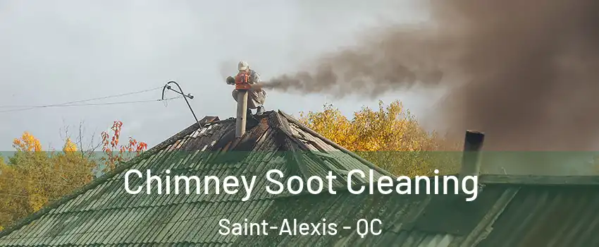  Chimney Soot Cleaning Saint-Alexis - QC