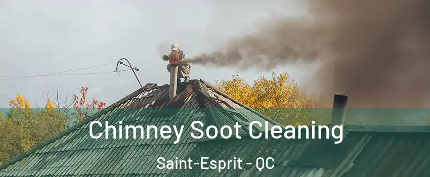  Chimney Soot Cleaning Saint-Esprit - QC