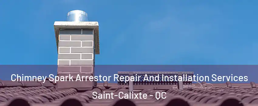  Chimney Spark Arrestor Repair And Installation Services Saint-Calixte - QC