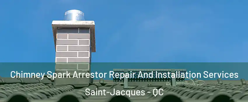  Chimney Spark Arrestor Repair And Installation Services Saint-Jacques - QC